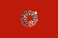 上思县回收红酒